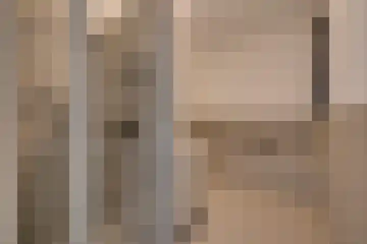 Hoola van Nootenstraat 404 Utrecht thumbnail 4