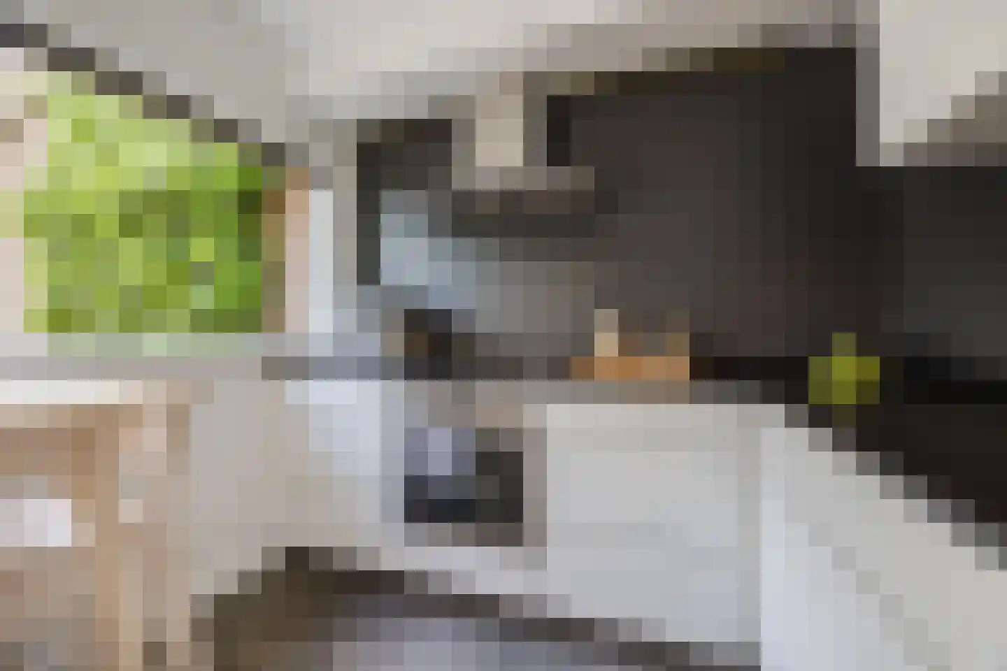 Hoolbeemd 26 Breda thumbnail 21