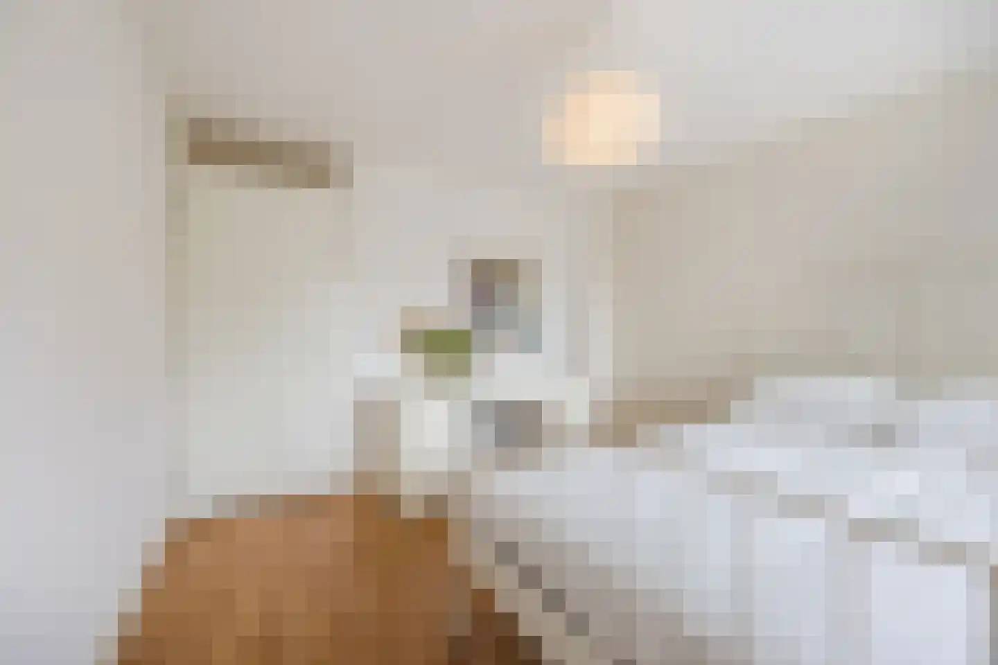 Hoolbeemd 26 Breda thumbnail 27