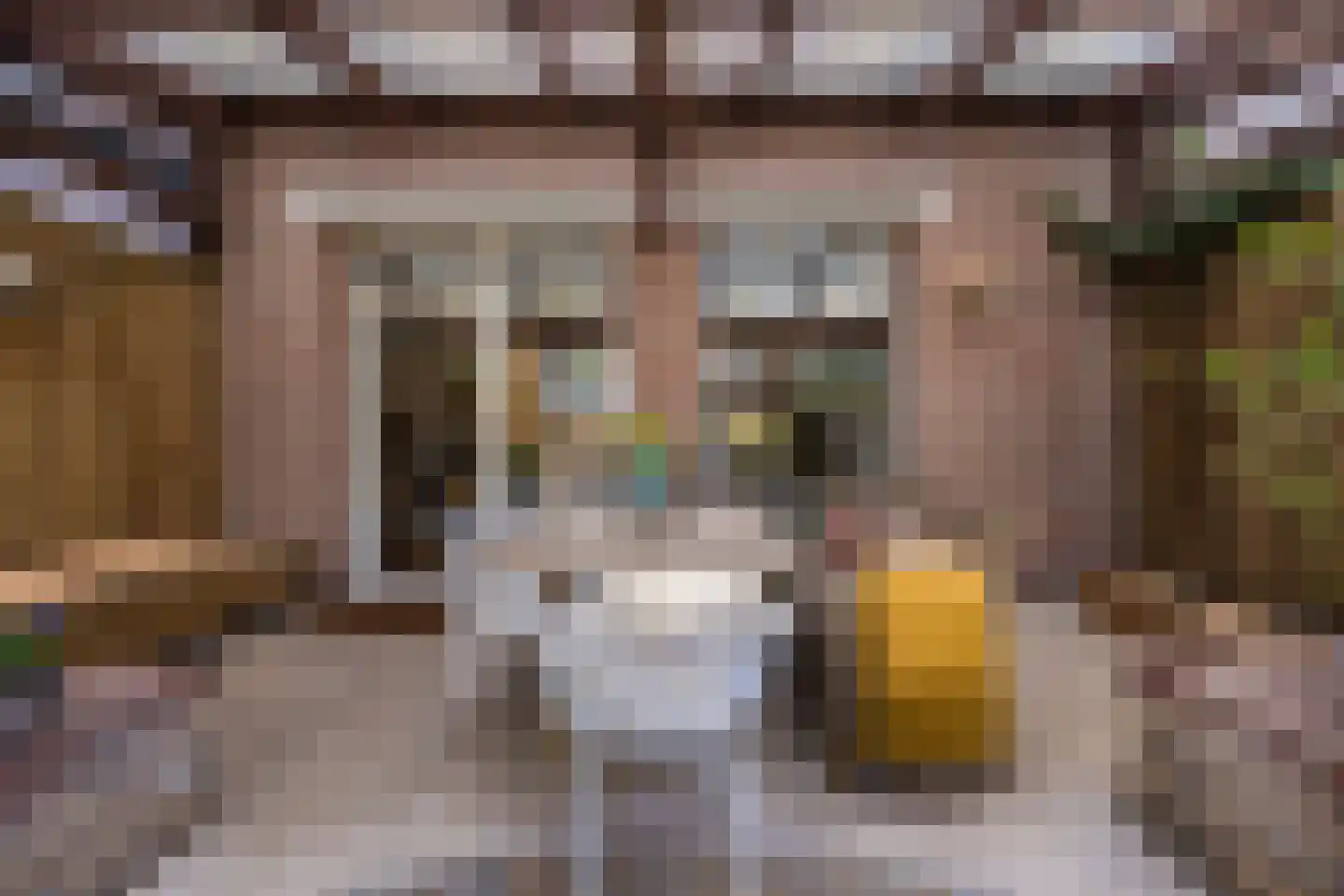 Hoolbeemd 26 Breda thumbnail 43