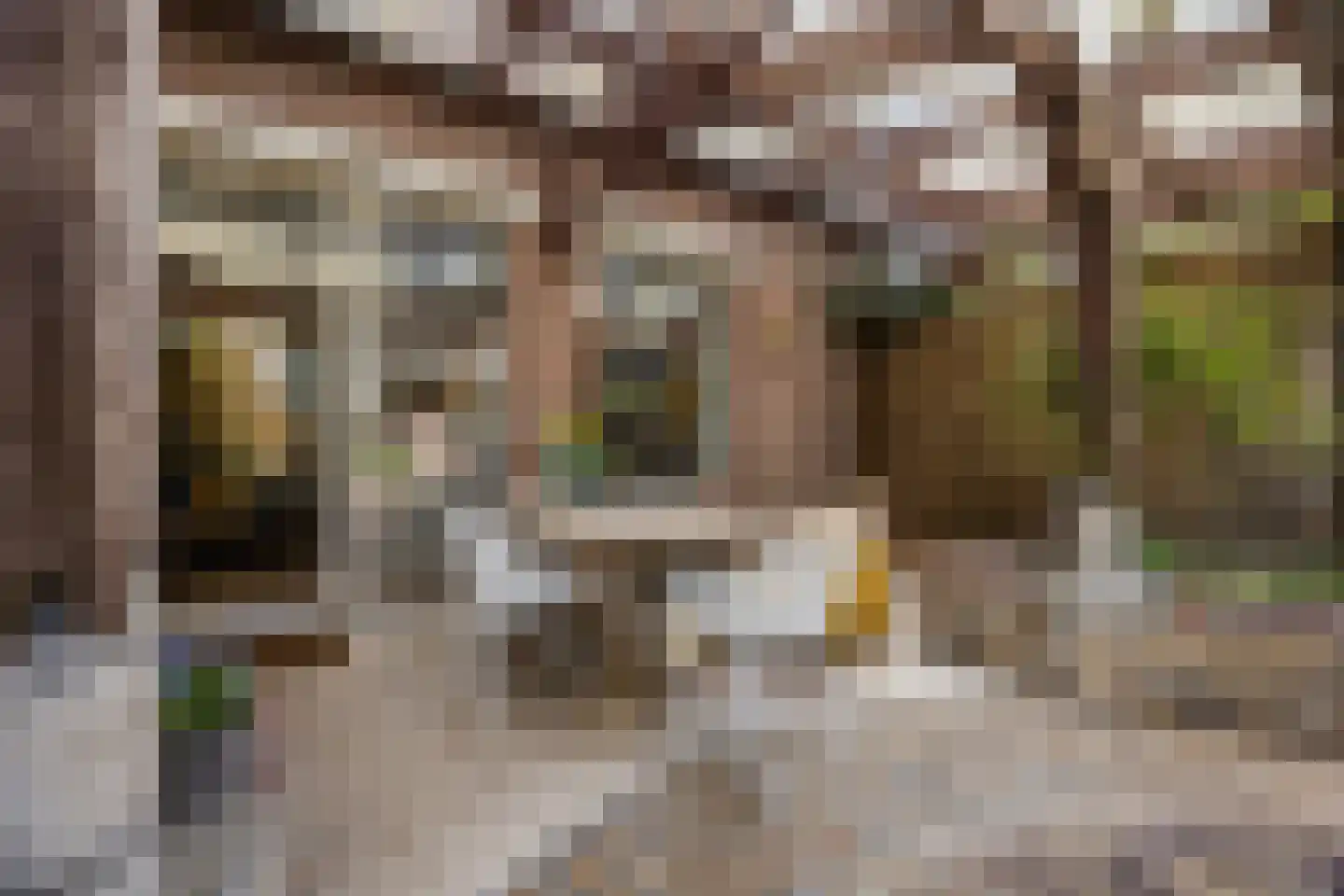 Hoolbeemd 26 Breda thumbnail 48
