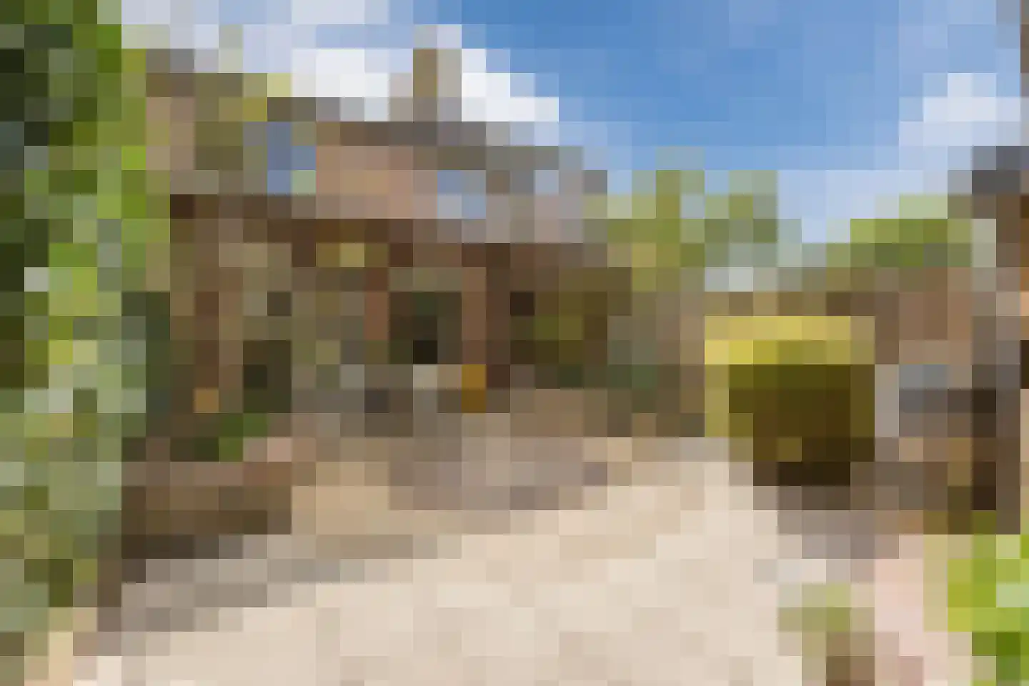 Hoolbeemd 26 Breda thumbnail 49