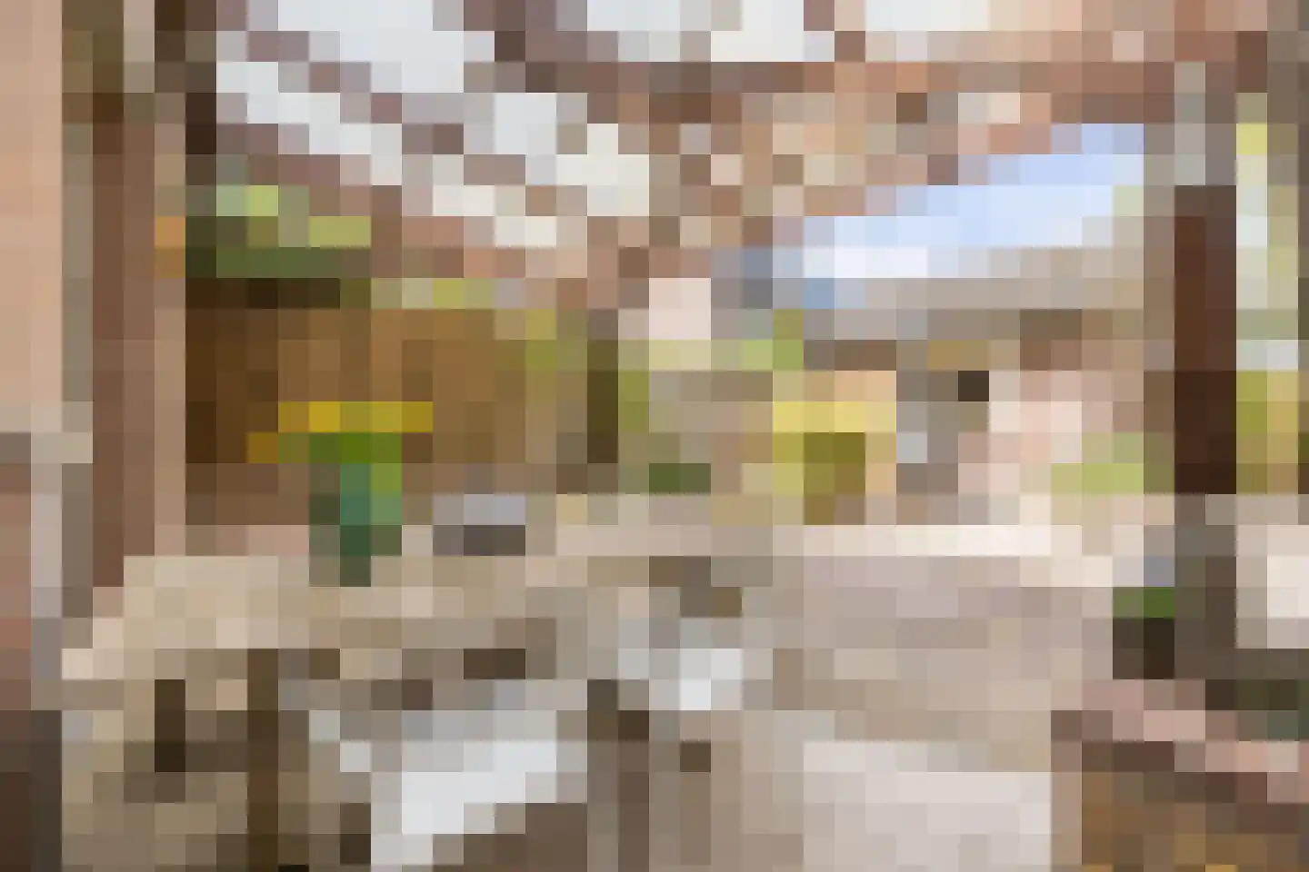 Hoolbeemd 26 Breda thumbnail 51