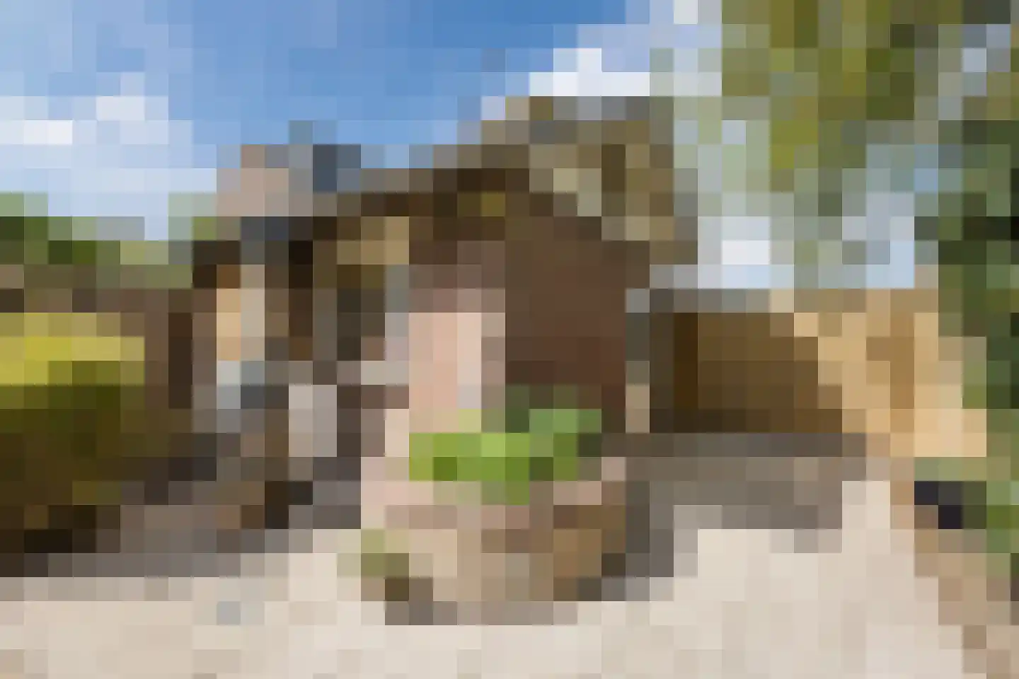 Hoolbeemd 26 Breda thumbnail 53