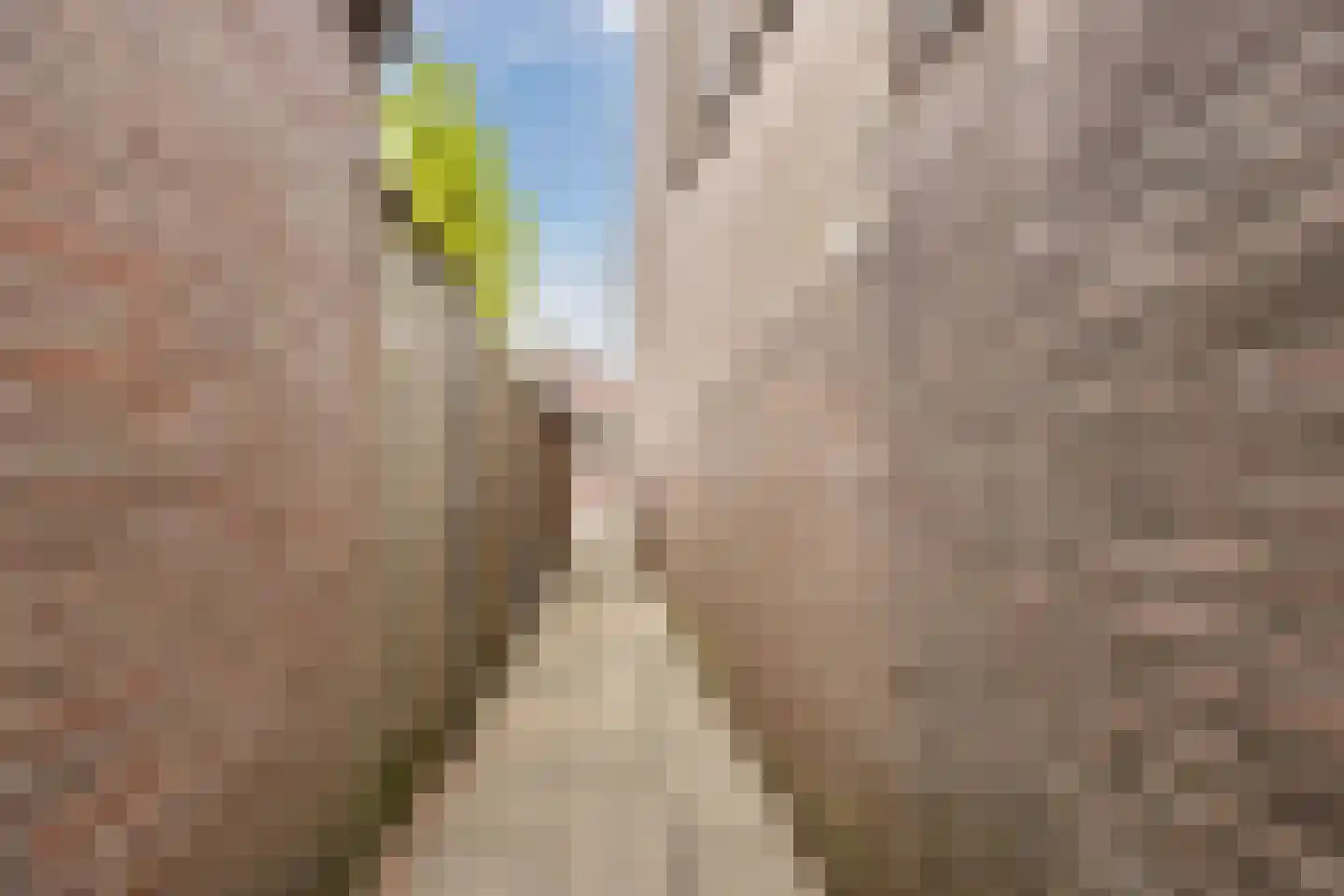 Hoolbeemd 26 Breda thumbnail 58