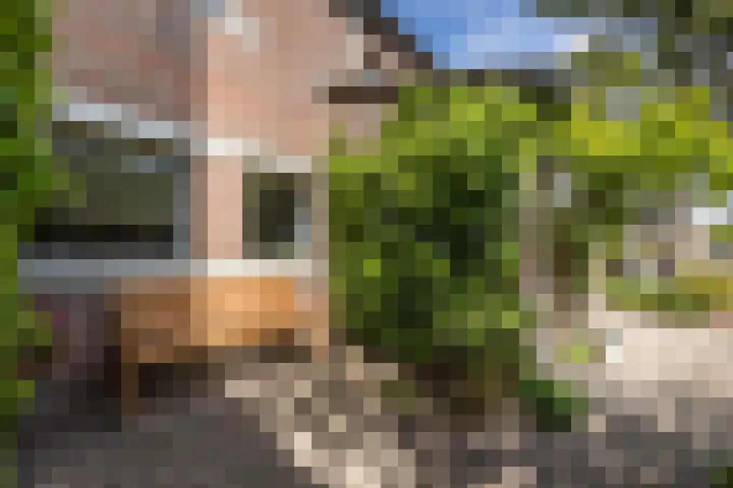 Hoolbeemd 26 Breda thumbnail 6