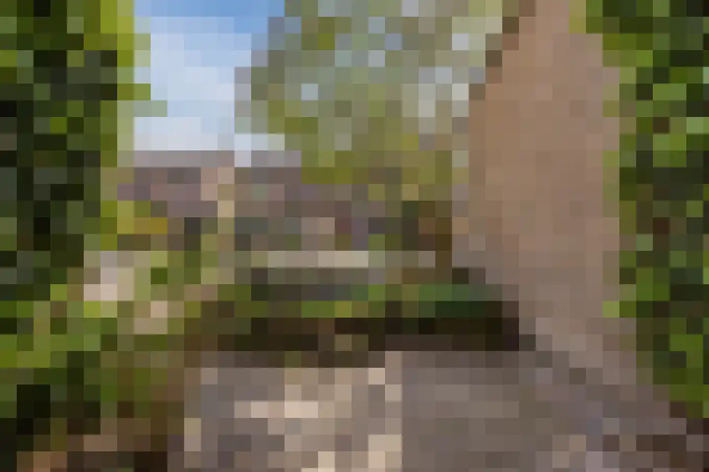 Hoolbeemd 26 Breda thumbnail 60
