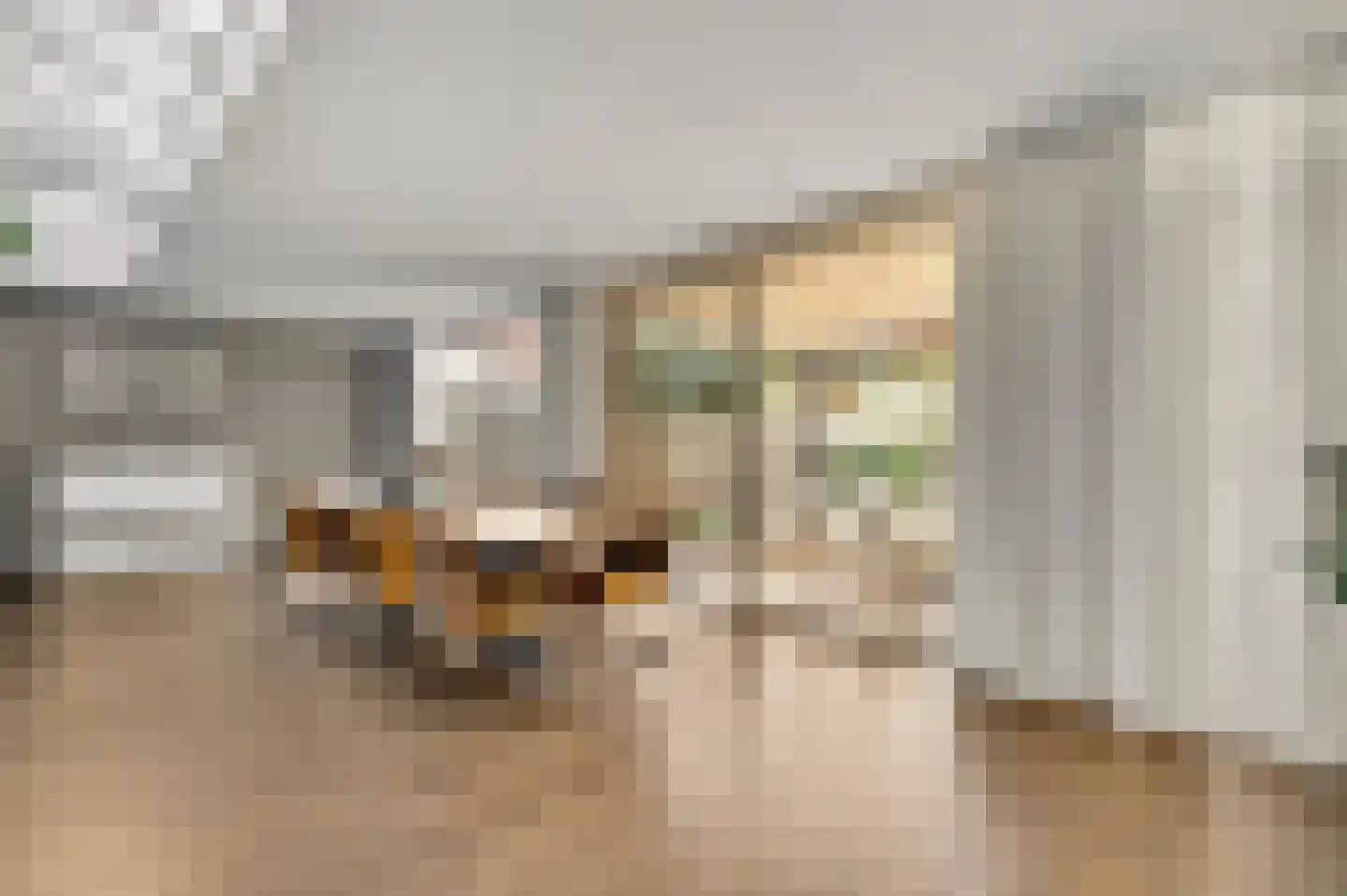 Hoolstraat 1 Beek thumbnail 12
