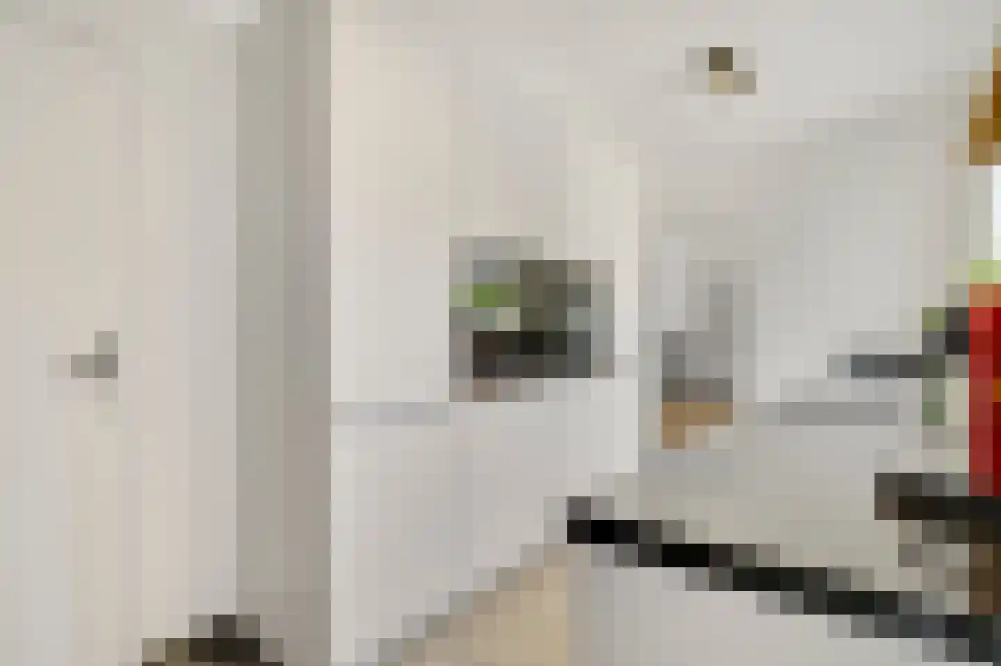 Hoolstraat 1 Beek thumbnail 15