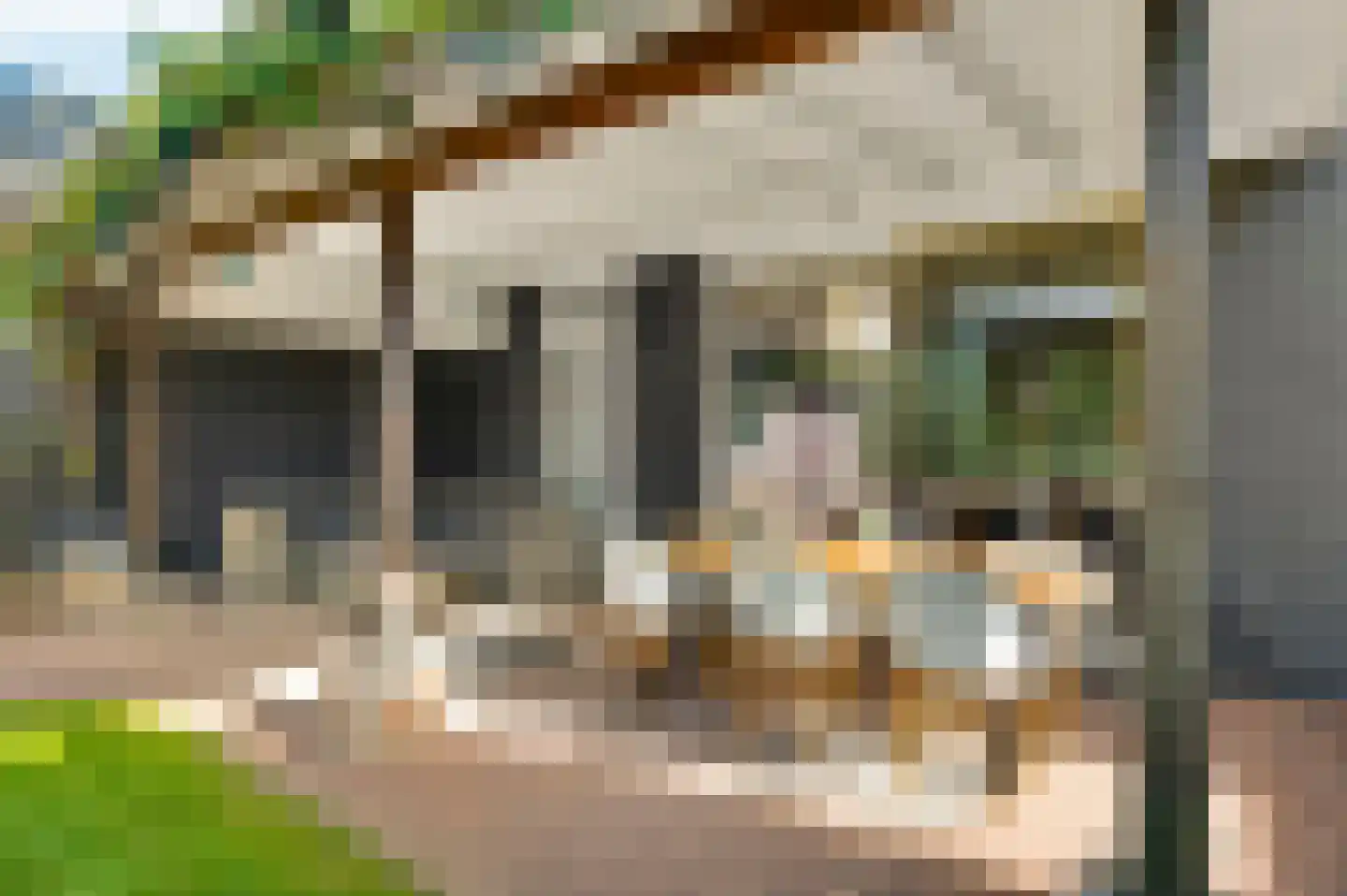 Hoolstraat 1 Beek thumbnail 21