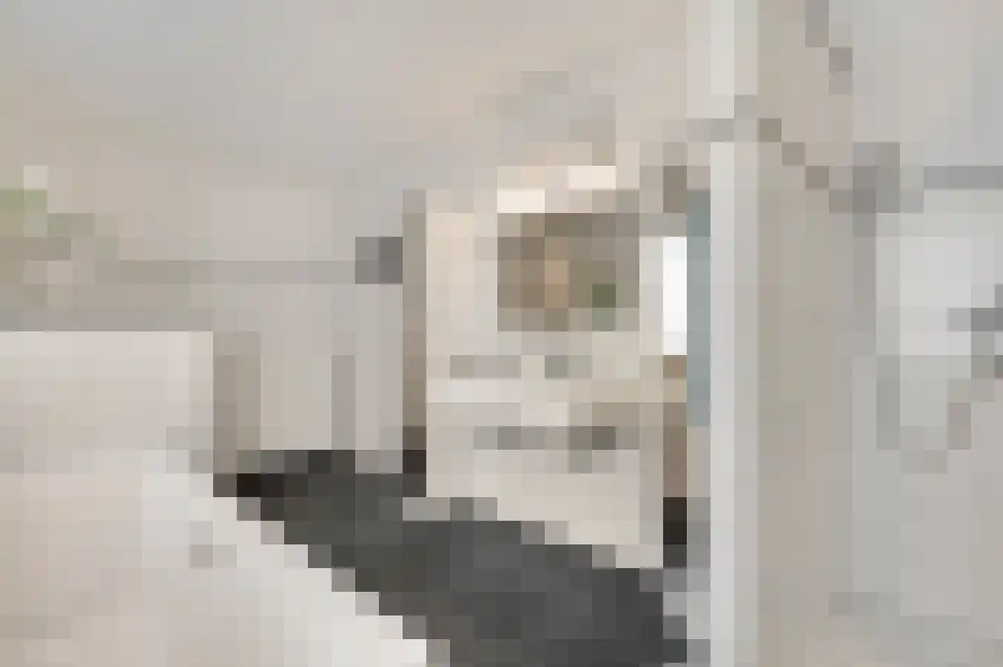 Hoolstraat 1 Beek thumbnail 28