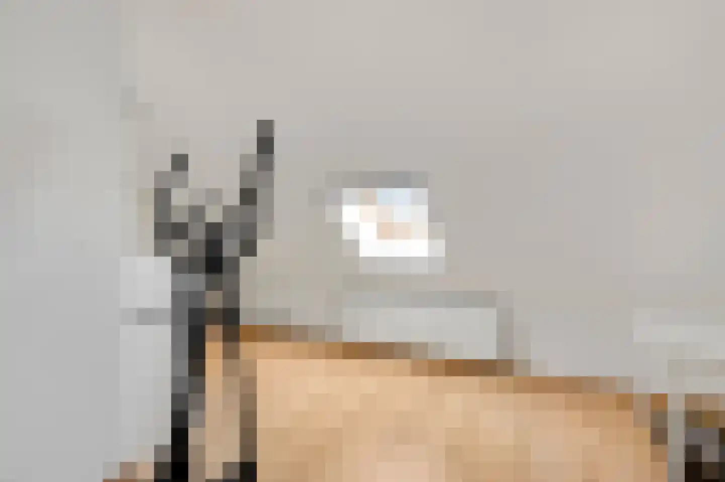 Hoolstraat 1 Beek thumbnail 41