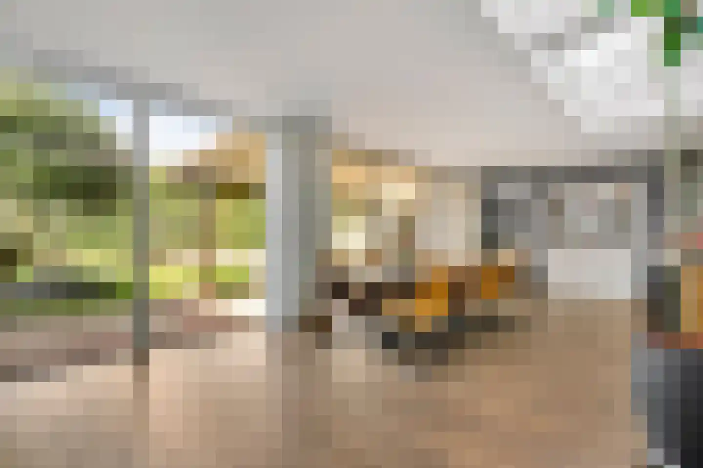Hoolstraat 1 Beek thumbnail 6