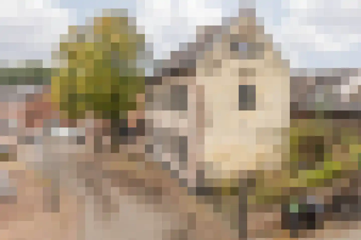 Hoolstraat 1 Urmond thumbnail 10