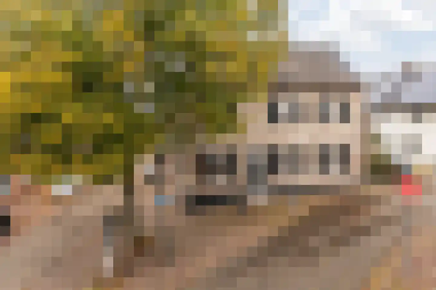 Hoolstraat 1 Urmond thumbnail 11