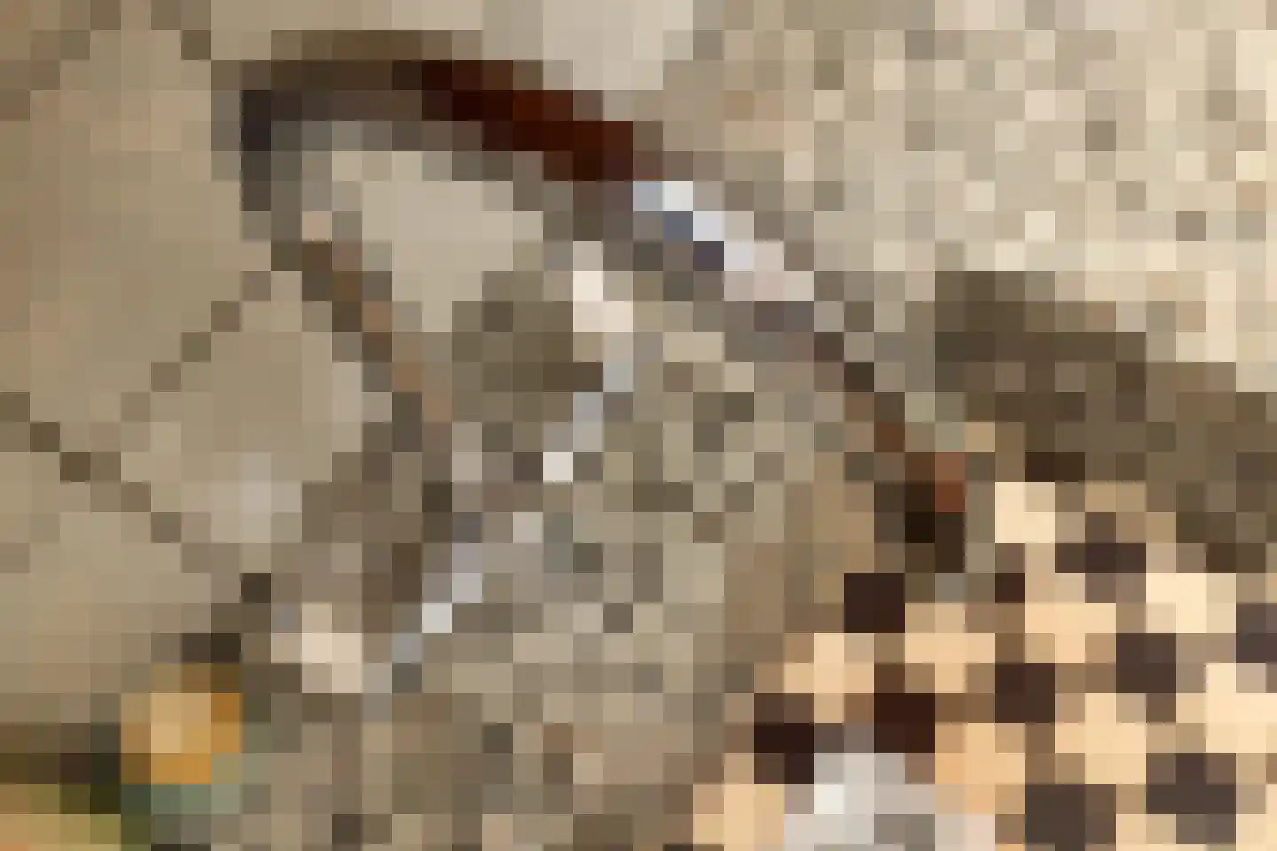 Hoolstraat 1 Urmond thumbnail 25
