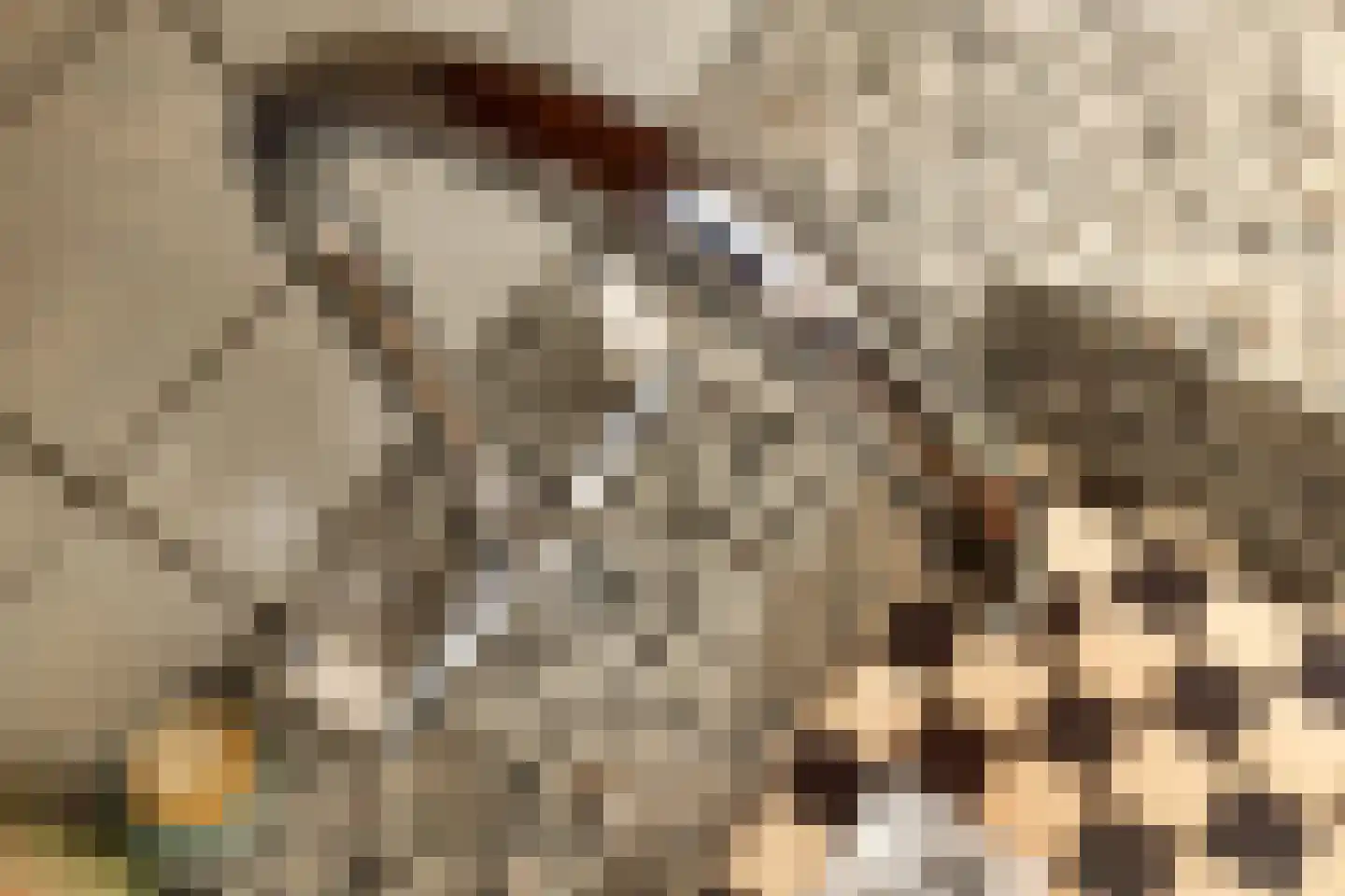 Hoolstraat 1 Urmond thumbnail 25