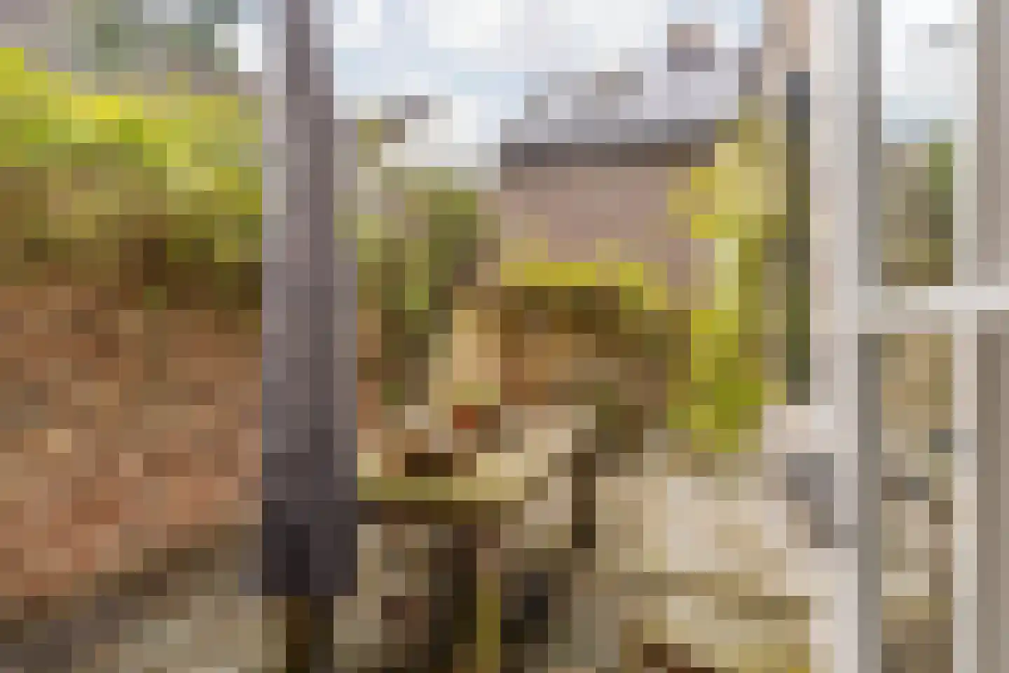 Hoolstraat 1 Urmond thumbnail 53