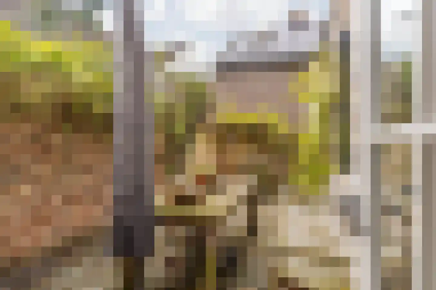 Hoolstraat 1 Urmond thumbnail 53