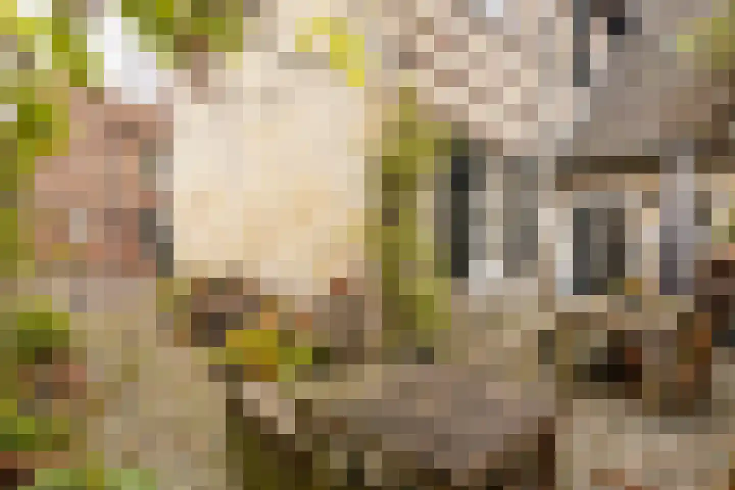 Hoolstraat 1 Urmond thumbnail 54