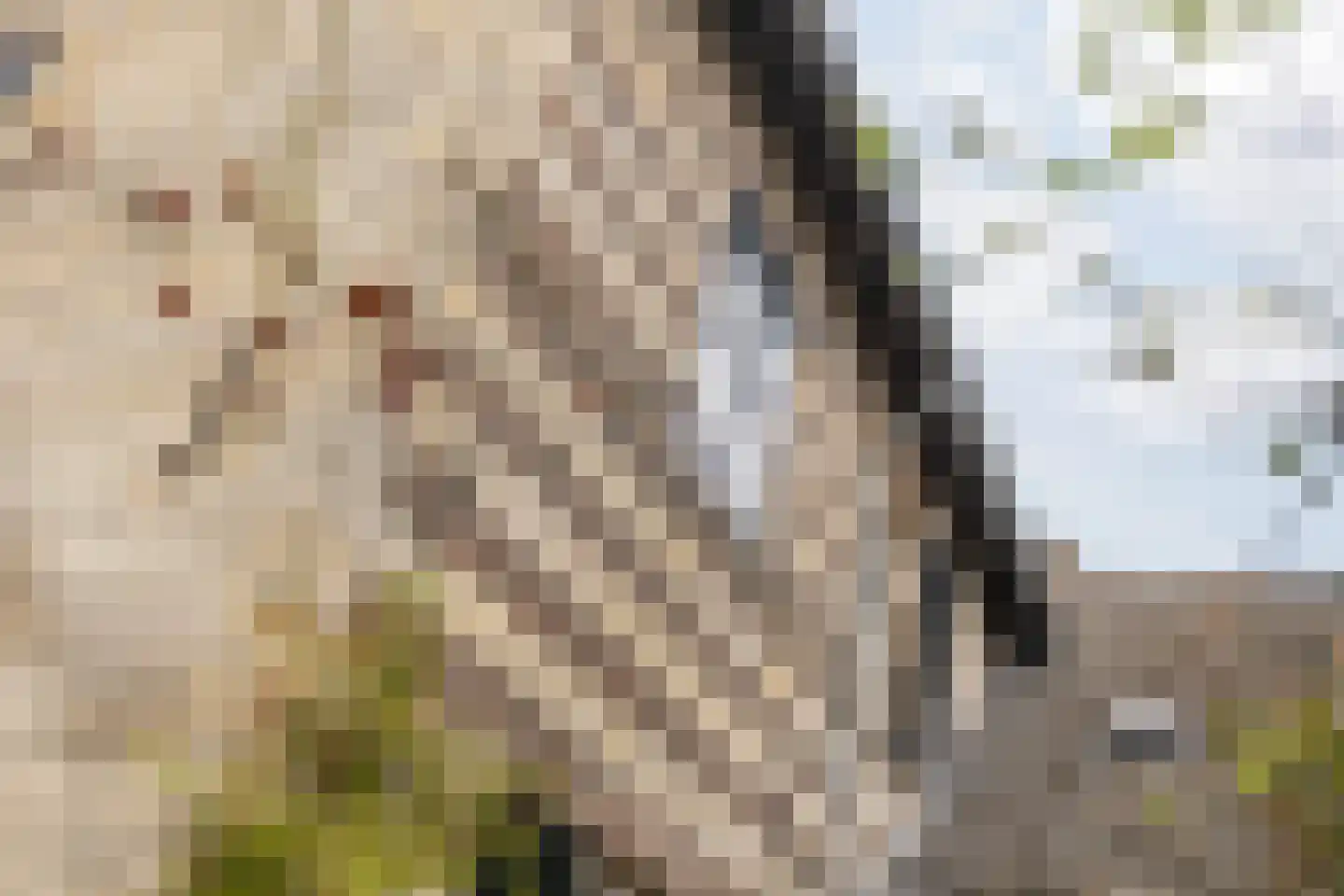 Hoolstraat 1 Urmond thumbnail 55