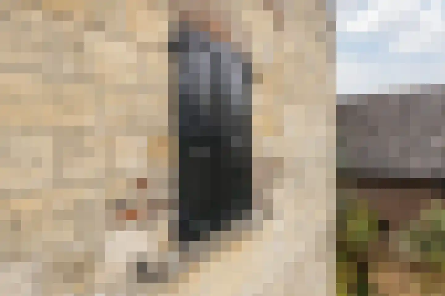 Hoolstraat 1 Urmond thumbnail 58