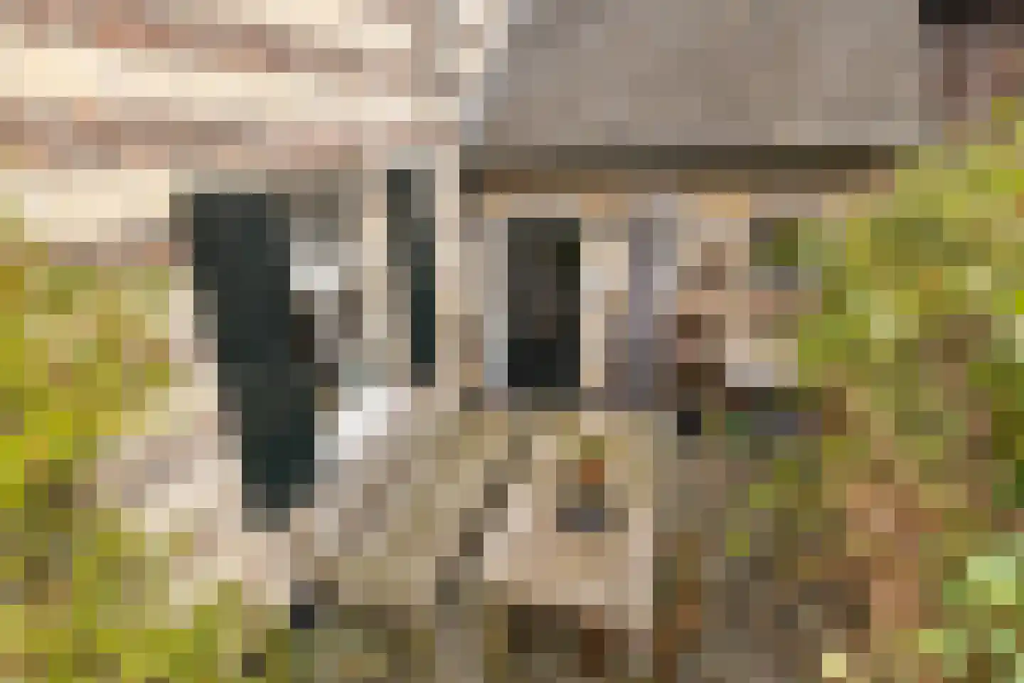 Hoolstraat 1 Urmond thumbnail 60