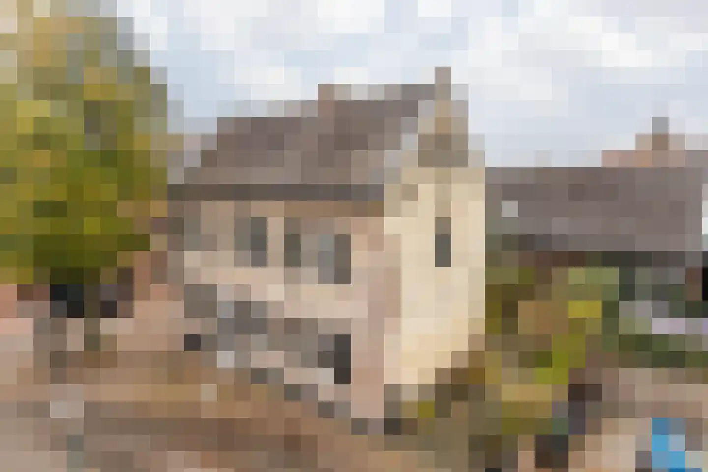 Hoolstraat 1 Urmond thumbnail 9