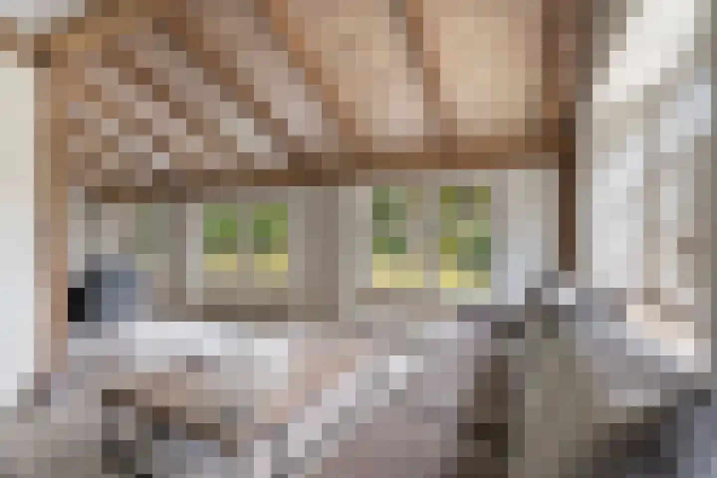 Hoolstraat 10 Weert thumbnail 12