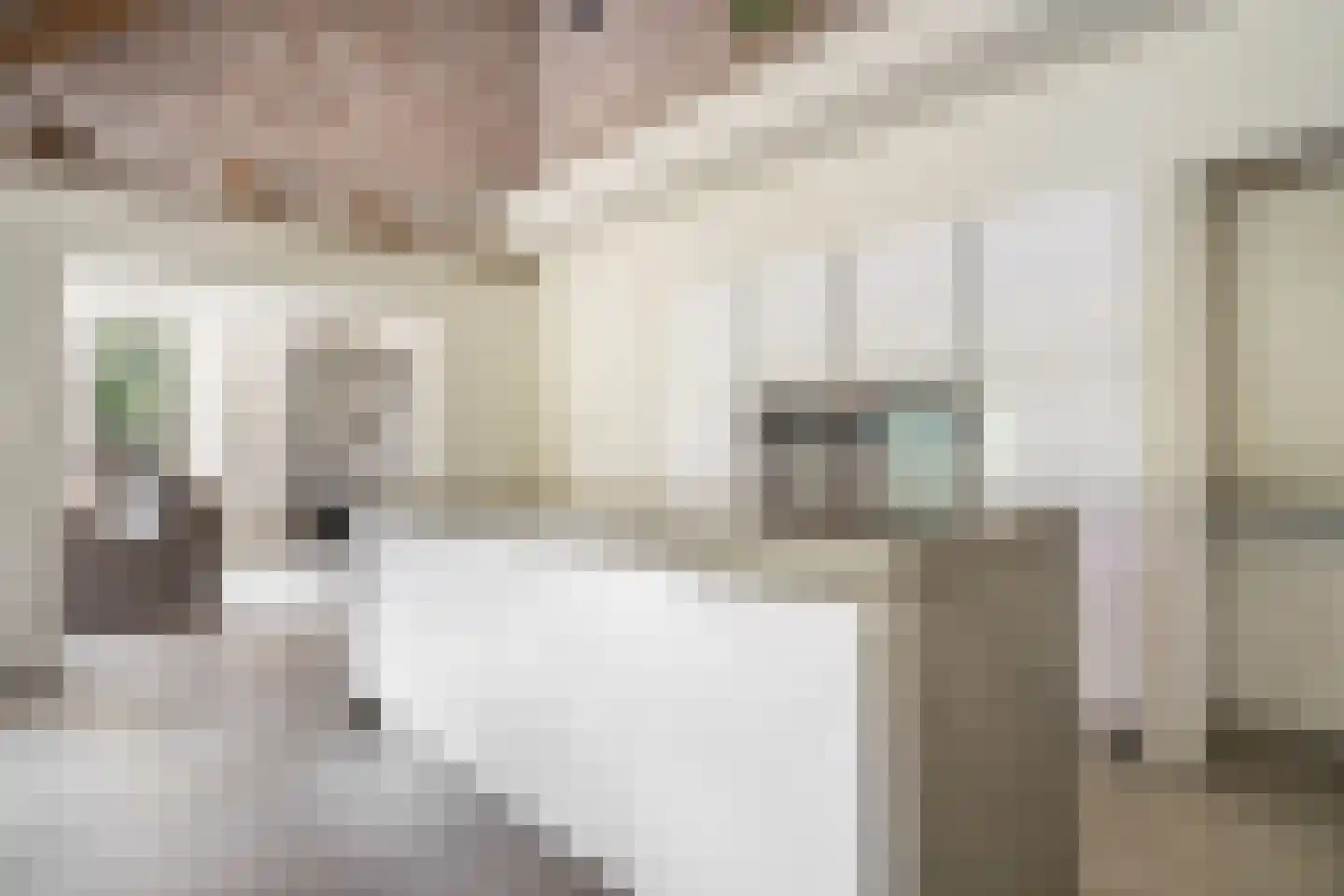 Hoolstraat 10 Weert thumbnail 21