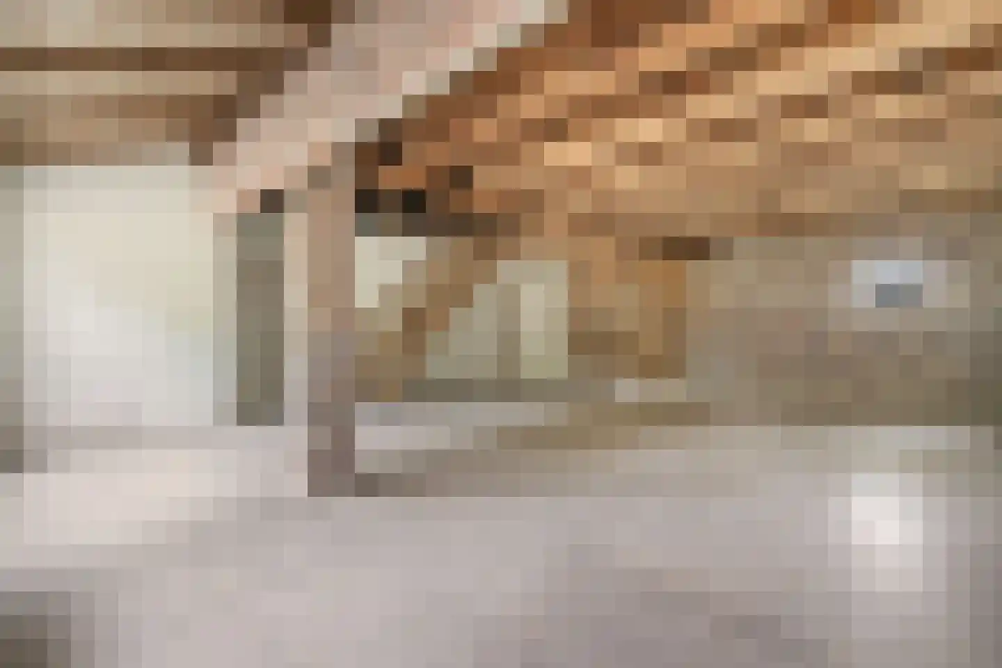 Hoolstraat 10 Weert thumbnail 37