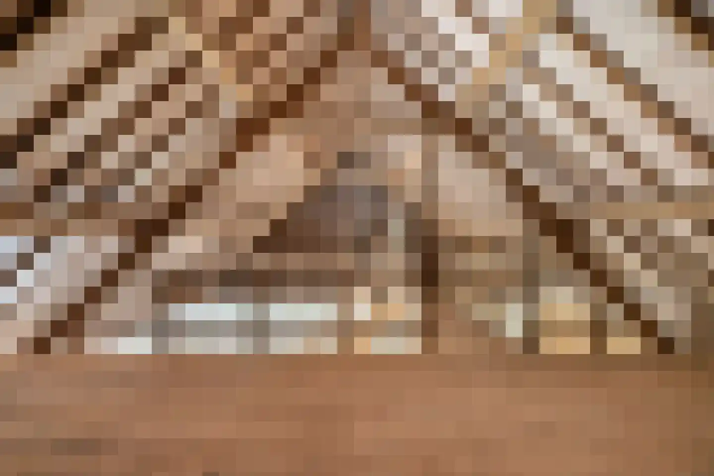 Hoolstraat 10 Weert thumbnail 44