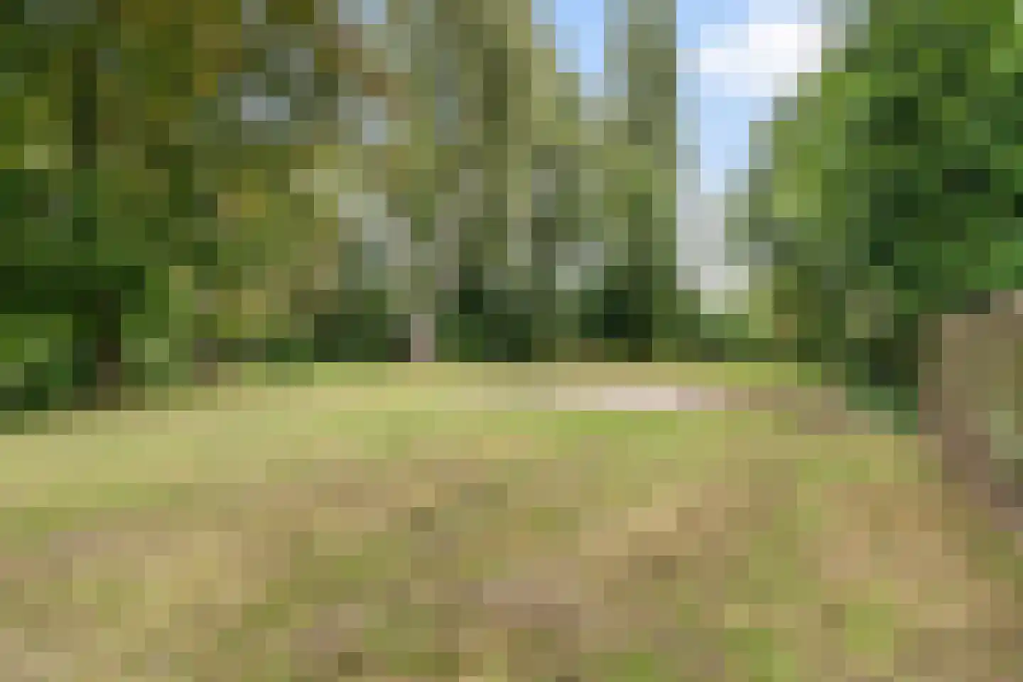 Hoolstraat 10 Weert thumbnail 48