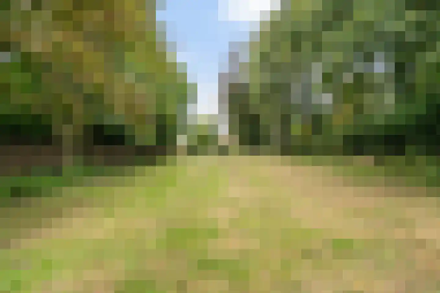 Hoolstraat 10 Weert thumbnail 49
