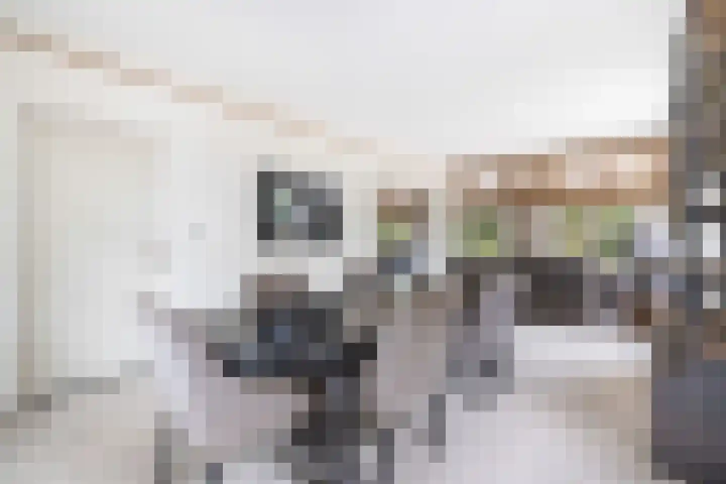 Hoolstraat 10 Weert thumbnail 9