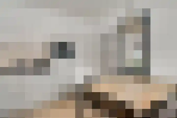 Hoolstraat 12 Beek thumbnail 10