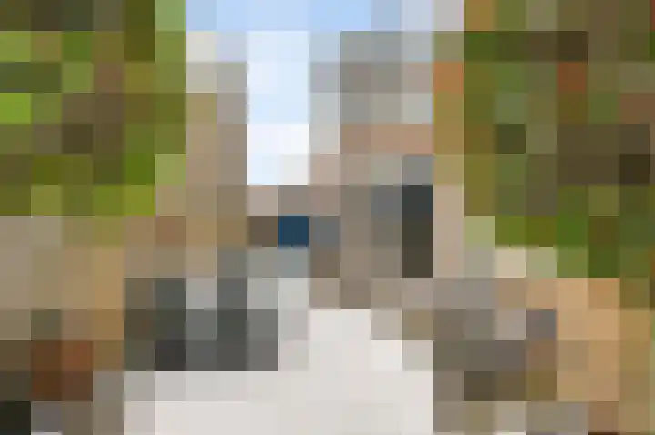 Hoolstraat 12 Beek thumbnail 5
