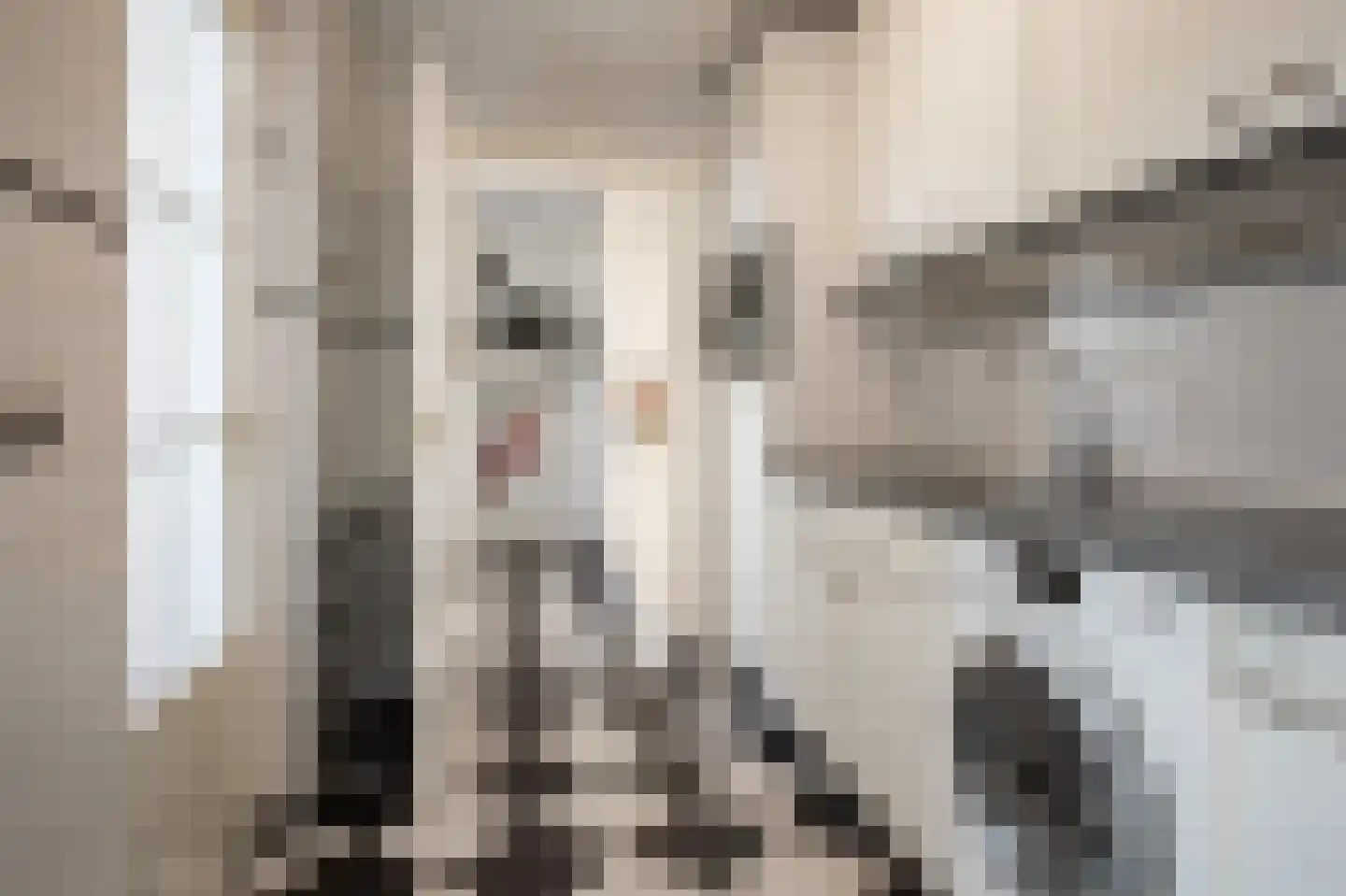 Hoolstraat 13 Voerendaal thumbnail 25