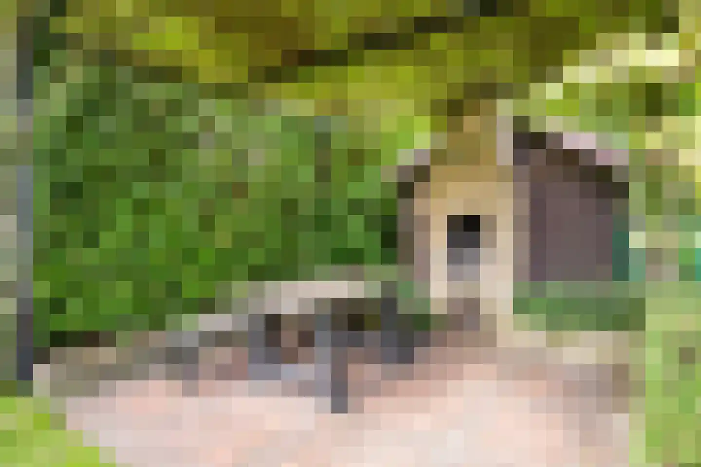Hoolstraat 13 Voerendaal thumbnail 42