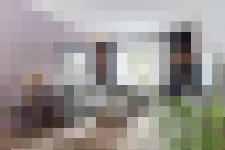 Hoolstraat 22 Eersel thumbnail 14
