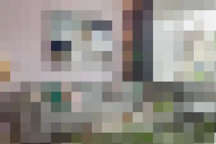 Hoolstraat 22 Eersel thumbnail 15