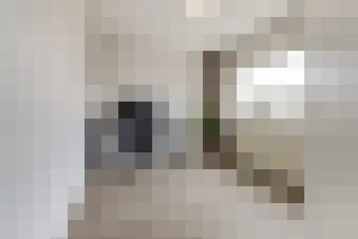 Hoolstraat 22 Eersel thumbnail 29