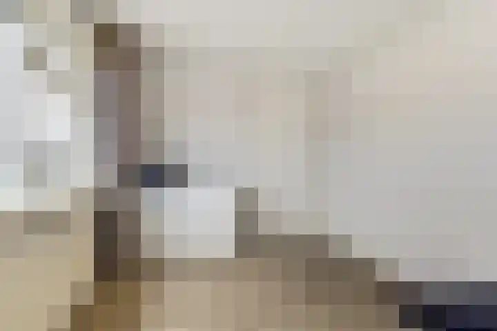 Hoolstraat 22 Eersel thumbnail 30