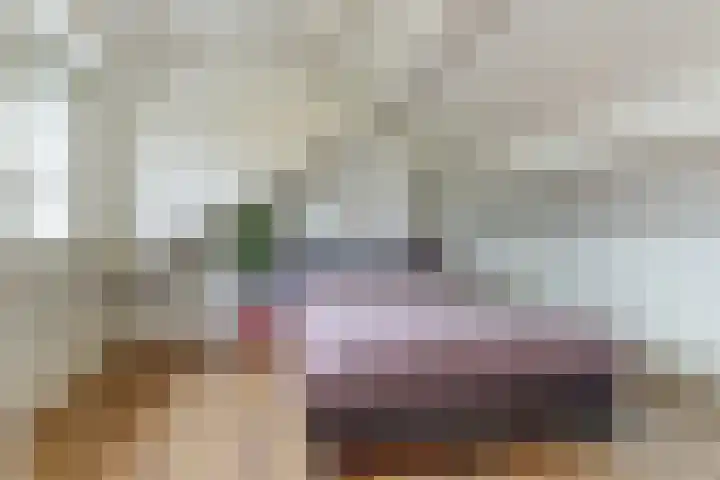 Hoolstraat 22 Eersel thumbnail 35
