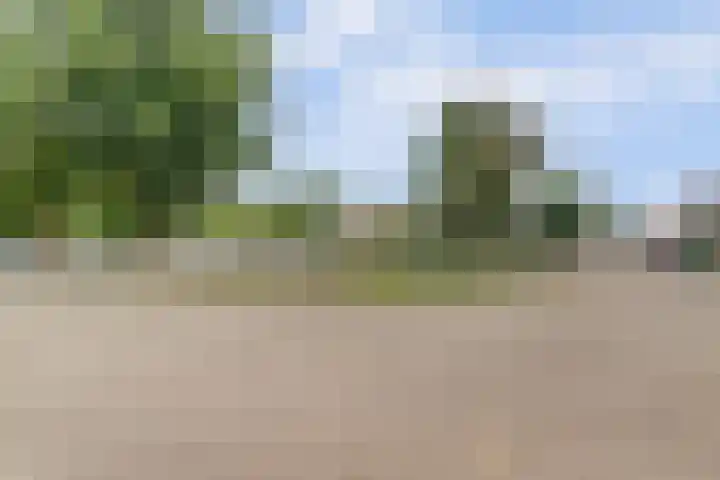 Hoolstraat 22 Eersel thumbnail 47