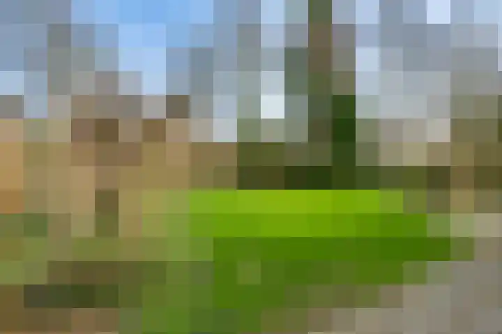 Hoolstraat 24 Voerendaal thumbnail 13
