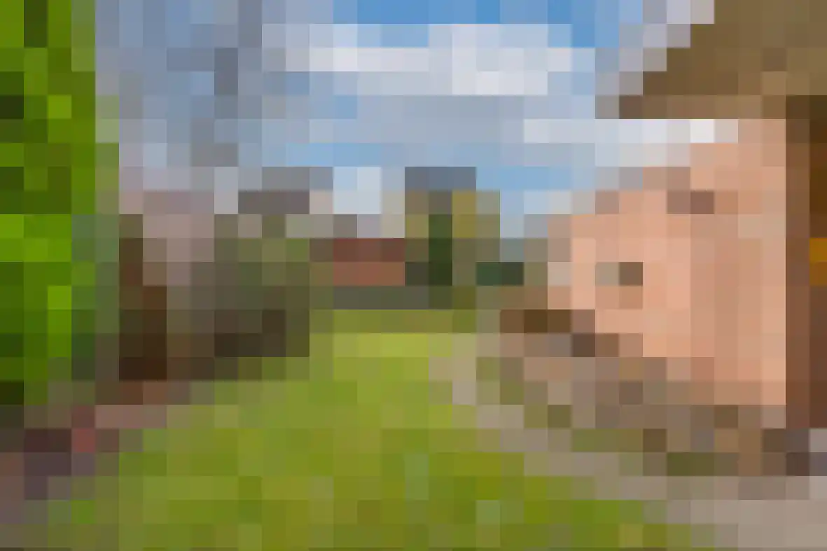 Hoolstraat 31 Beek thumbnail 36