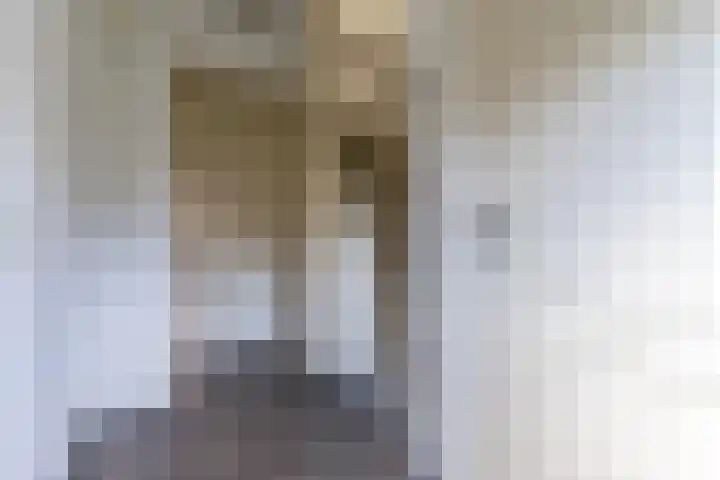Hoolstraat 32 Eersel thumbnail 12
