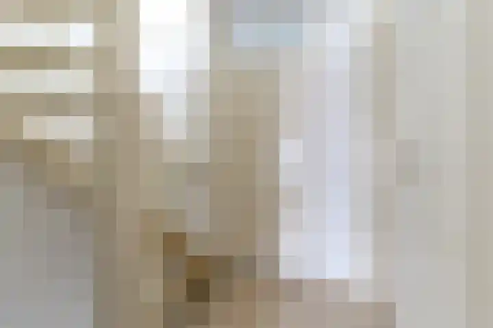 Hoolstraat 32 Eersel thumbnail 19