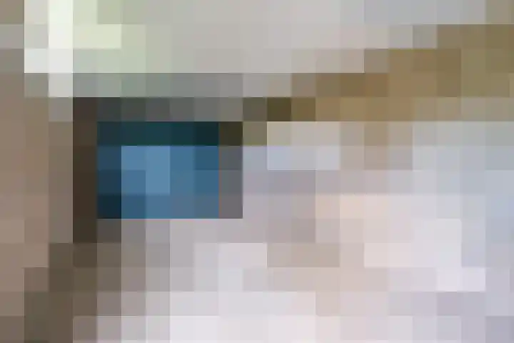 Hoolstraat 32 Eersel thumbnail 28